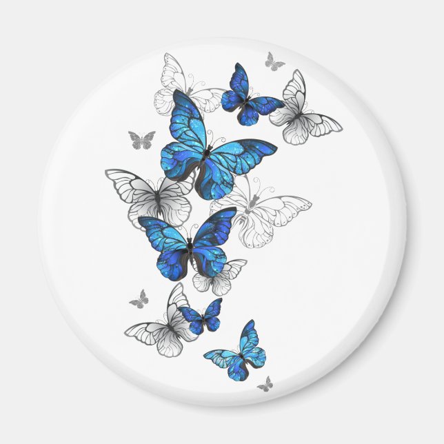 Imán Morfo de las mariposas voladoras azules (Frente)