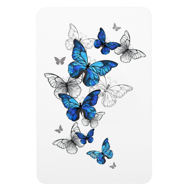 Imán Morfo de las mariposas voladoras azules (Vertical)
