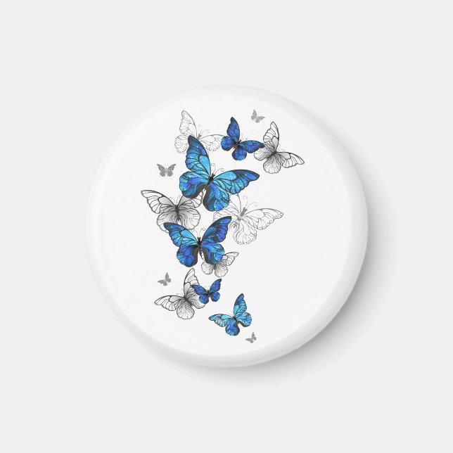 Imán Morfo de las mariposas voladoras azules (Frente)