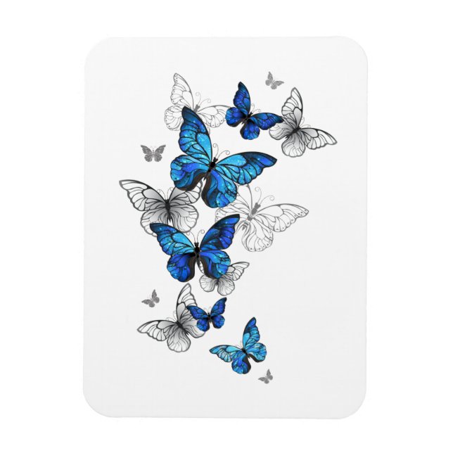 Imán Morfo de las mariposas voladoras azules (Vertical)