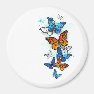 Imán Morfo y monarca de las mariposas voladoras