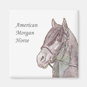 Imán Morgan Horse Magnet