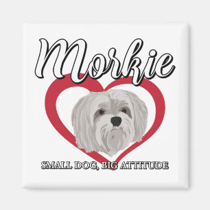 Imán Morkie - Perro Pequeño Gran Actitud 3