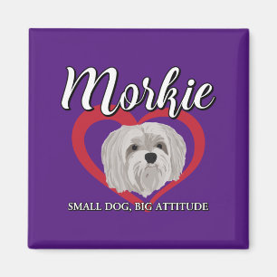 Imán Morkie - Perro Pequeño, Gran Actitud - 3