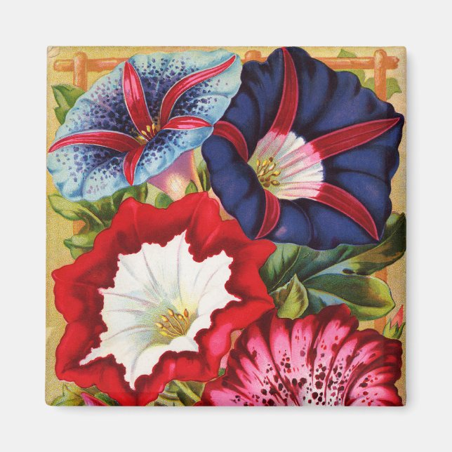 imán Morning Glories (Frente)