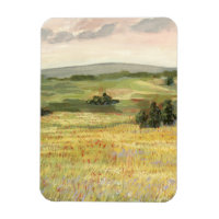 Morning Meadow