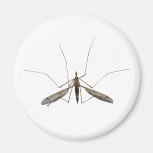 Imán Mosquito