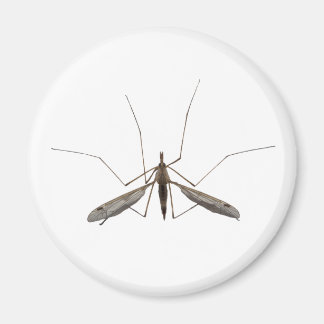 Imán Mosquito