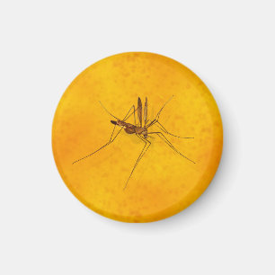 Imán Mosquito en la réplica fósil ámbar prehistóric