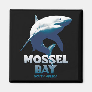 Imán Mossel Bay Gran Buceo de Tiburón Blanco