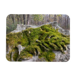 Imán Mossy Broken Headstone