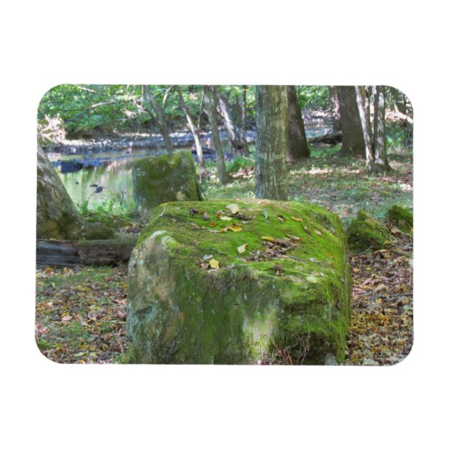 Imán Mossy Rocks (Horizontal)