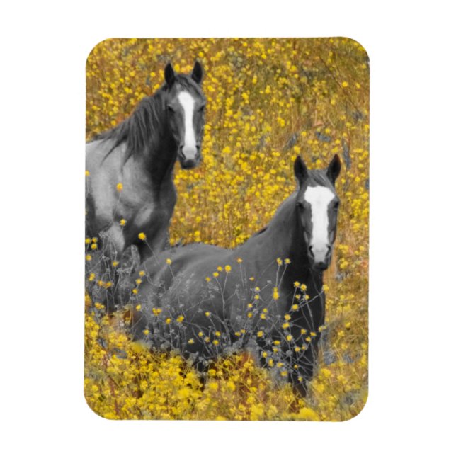 Imán Mostaza y caballos (Vertical)