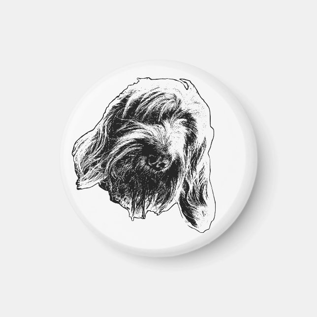 Imán Mostrador Cálido Spinone (Frente)