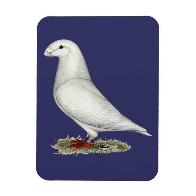 Imán Mostrar blanco de Racer (Vertical)