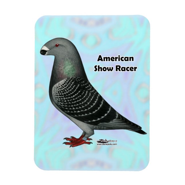 Imán Mostrar Racer ASR (Vertical)