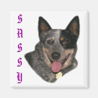 Imán Mostrar tu orgullo