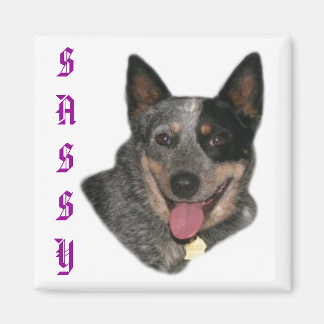 Imán Mostrar tu orgullo (Frente)