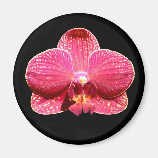 Imán Moth Orchid Magnet (Frente)