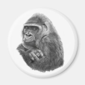 Imán Mother gorilla Magnet 母ゴリラのマグネッド