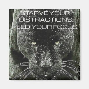 Imán Motivación de entrenamiento