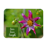 Motivación de la flor rosa y púrpura de Dahlia