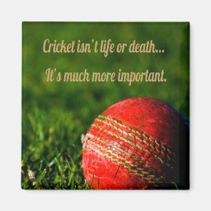 Imán Motivación divertida del cricket Red Ball
