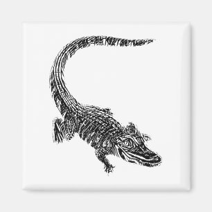 Imán Motivo de cocodrilo y caimán Reptil Dientes Animal