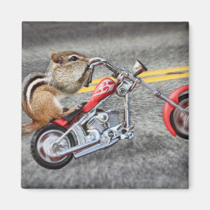 Imán Motorista del Chipmunk que monta una motocicleta