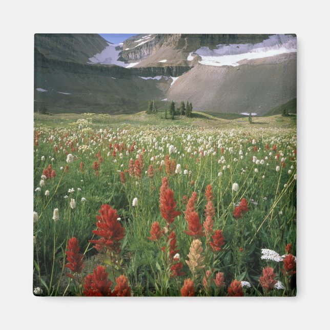 IMÁN MOUNT TIMPANOGOS WILDERNESS, UT, US, (Frente)