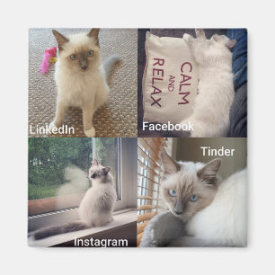 Imán Muchas caras de un gato de Ragdoll