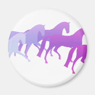 Imán Muchos caballos (púrpuras)
