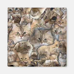 Imán Muchos Mini Cats