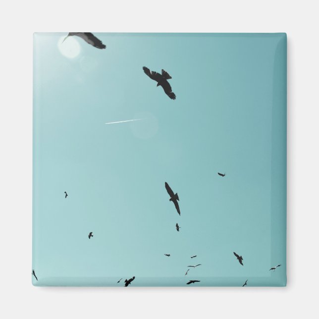 Imán Muchos pájaros y un contrapeso (Frente)