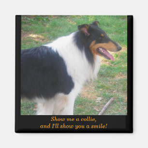 Imán Muéstrame un collie...