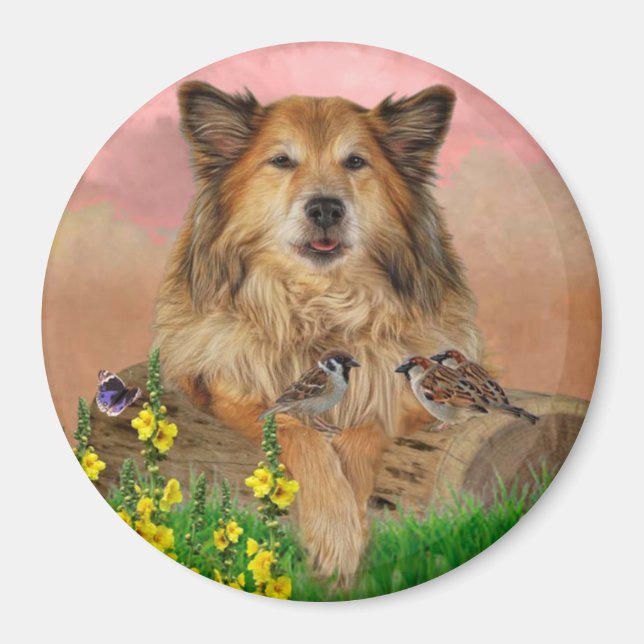 Imán Muismat (Frente)