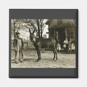 Imán mula NEGATIVA DE CRISTAL de 5x7 Milwaukee