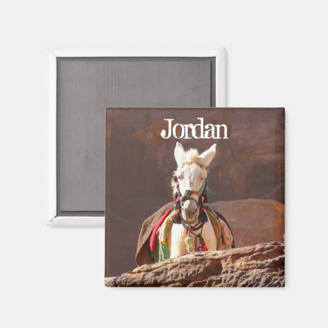 Imán Mule blanca, Petra Jordan (Anverso/Reverso)