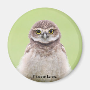 Imán mullido del Owlet