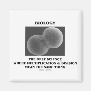Imán Multiplicación de la división de ciencias de la bi