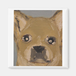 Imán mundo de los erics de eric ginsburg