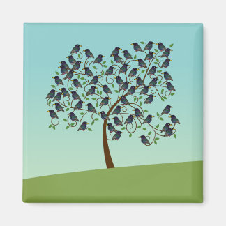 Imán Murmuración de Starlings