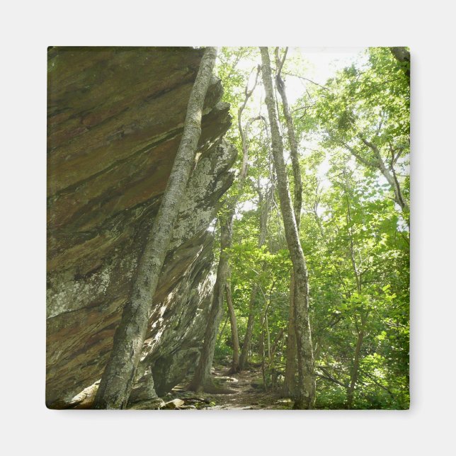Imán Muro de roca Frazier en el Parque Nacional Shenand (Frente)
