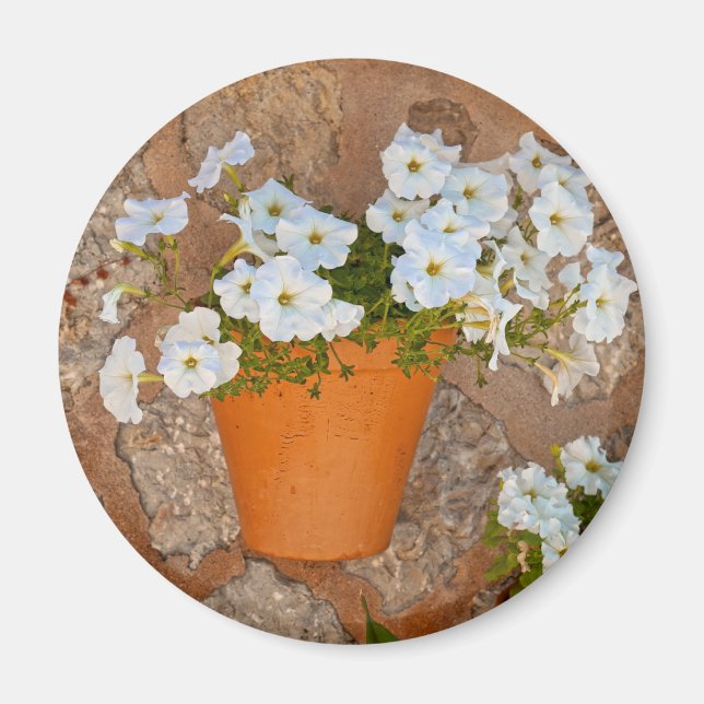 Imán Muro español (Frente)