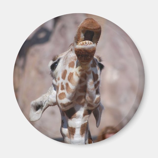 Imán Muse Magnet #1 (Frente)