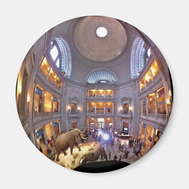 Imán Museo de Historia Natural (Frente)