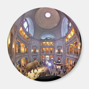 Imán Museo de la historia natural