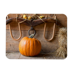 Imán Museo de los Granjeros. Calabaza en granero con fa