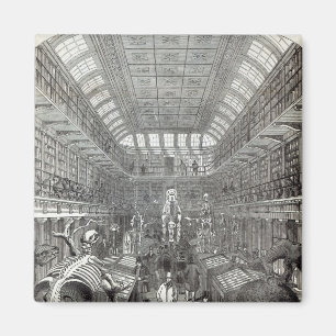 Imán Museo Hunteriano