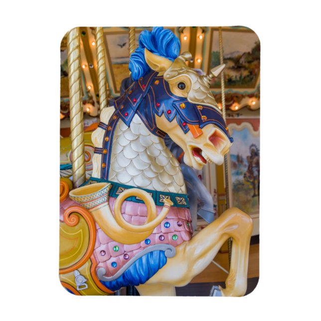 Imán Museo Público de los Grandes Rapids (Vertical)